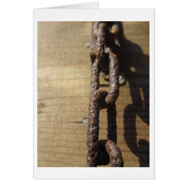 風化させたリンク (正面)