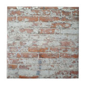 風化させたレンガ壁 タイル (正面)