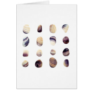 風化させた貝殻