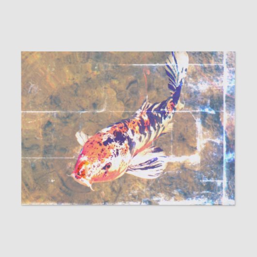 風化された日本のコイ画像 薄葉紙 (正面)