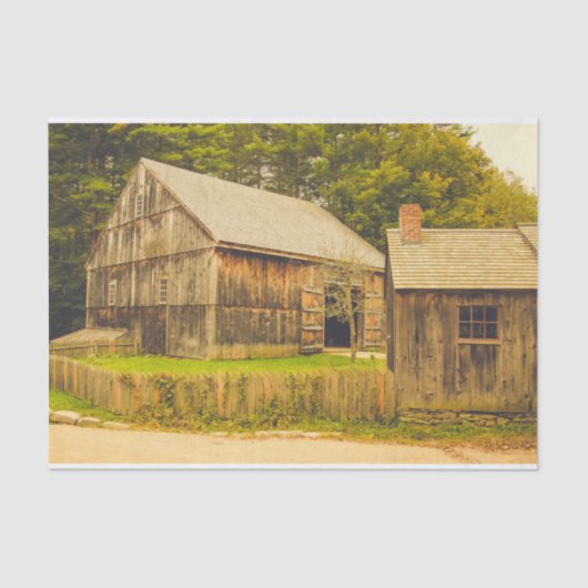 風化したママバーンウィザーズベビーバーン 薄葉紙 (正面)