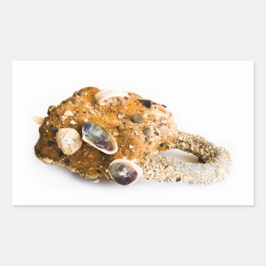 風化した南京錠 長方形シール (正面)