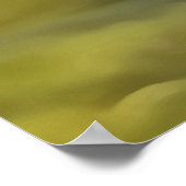 風化した川底に偽装されたグリーンカエル ポスター (角)