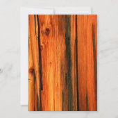 風化した納骨板 (正面)