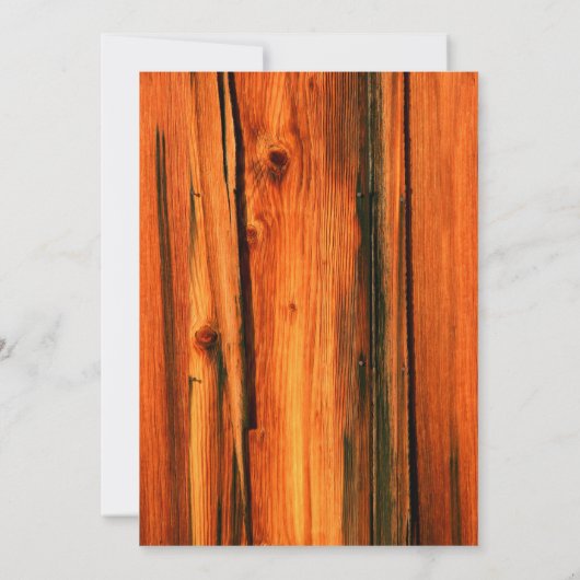 風化した納骨板 (裏面)