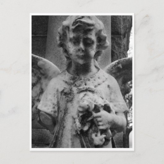 風化した美しさ、キャビネット カード (正面)