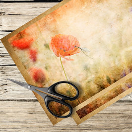 風化した背景のケシやトンボ 薄葉紙