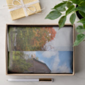 風化した赤い納屋に双樹がある 薄葉紙 (ギフト)