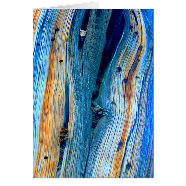 風化した青いバーンドボード (正面)