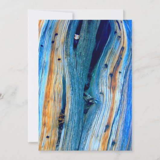 風化した青い納屋の板 (正面)