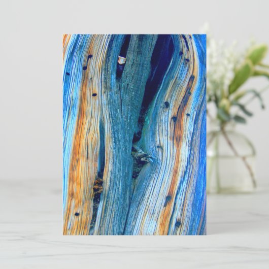 風化した青い納屋の板 (スタンド正面)