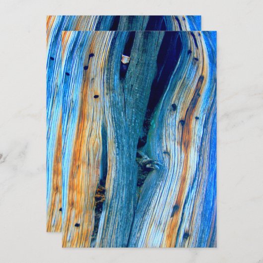 風化した青い納屋の板 (正面/裏面)