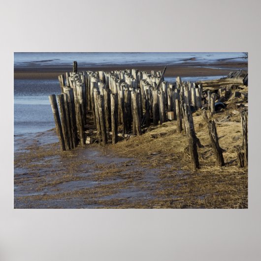 風化し擦り切れたた ポスター (正面)