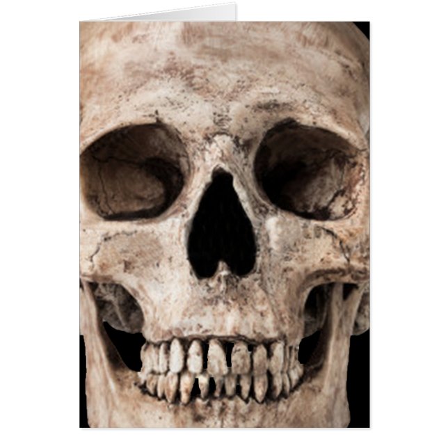 風化古スカル (正面)