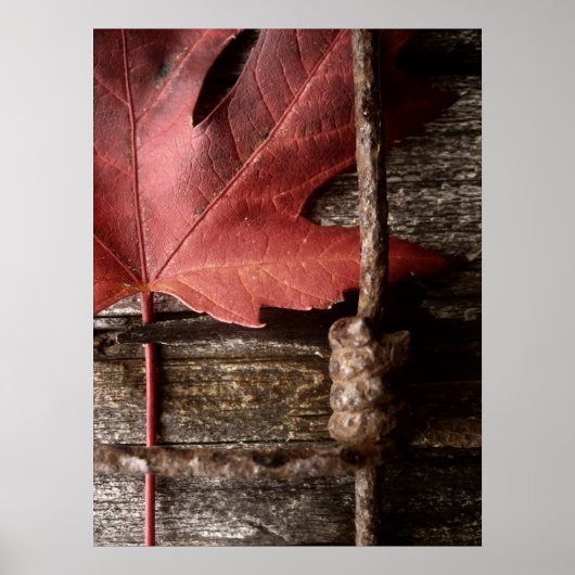 風化擦り切れたした ポスター (正面)