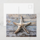 風化木素朴のヒトデ ポストカード (正面/裏面)