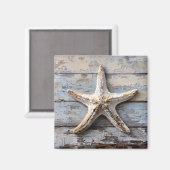 風化木素朴のヒトデ マグネット (正面/裏面)