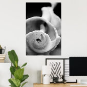 風化殻 ポスター (ホームオフィス)