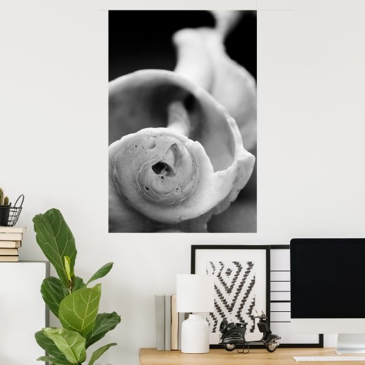 風化殻 ポスター (ホームオフィス)