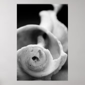 風化殻 ポスター (正面)