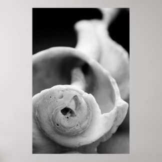 風化殻 ポスター