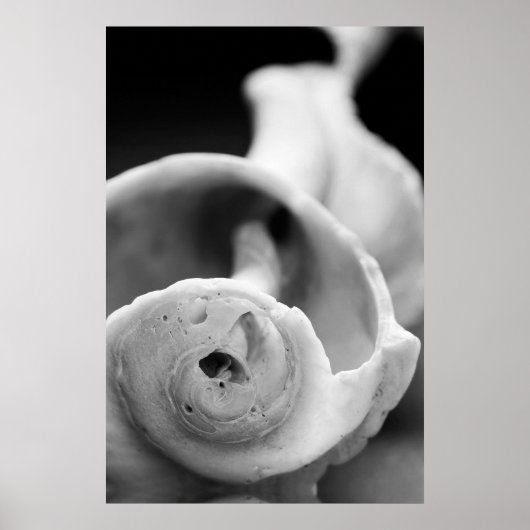 風化殻 ポスター (正面)