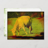 風化牧草 ポストカード (正面/裏面)