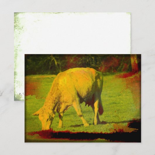 風化牧草 ポストカード (正面/裏面)
