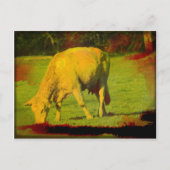 風化牧草 ポストカード (正面)