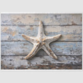 風化素朴した木の切り離しのヒトデ 薄葉紙 (正面)