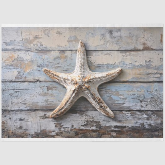 風化素朴した木の切り離しのヒトデ 薄葉紙 (正面)