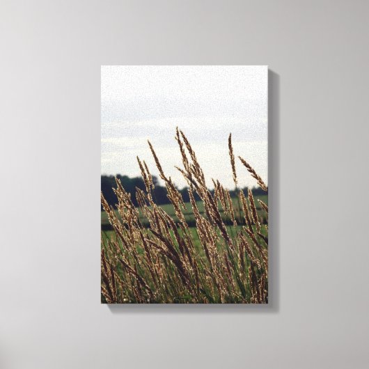 風吹の中の草 キャンバスプリント (正面)
