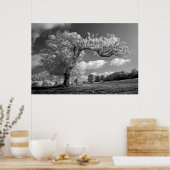 風吹の木 ポスター (キッチン)