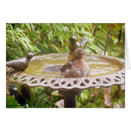 風呂に入っている鳥