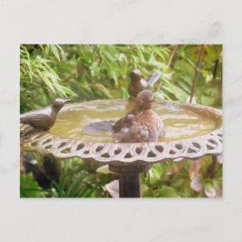 風呂に入っている鳥 ポストカード