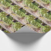 風呂に入っている鳥 ラッピングペーパー (角)