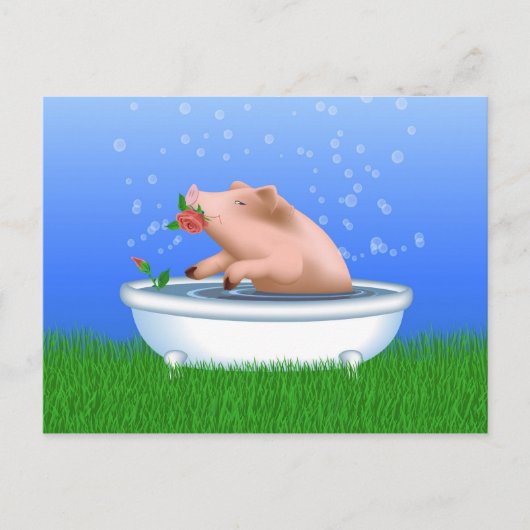 風呂に入る豚 ポストカード (正面)