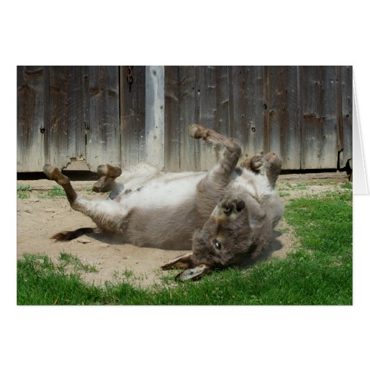 風呂を持つロバ (正面横)