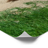 風呂を持つロバ ポスター (角)