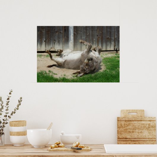 風呂を持つロバ ポスター (キッチン)