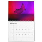 風変わりおもしろいHippos 2025カレンダー カレンダー (2月 2027)