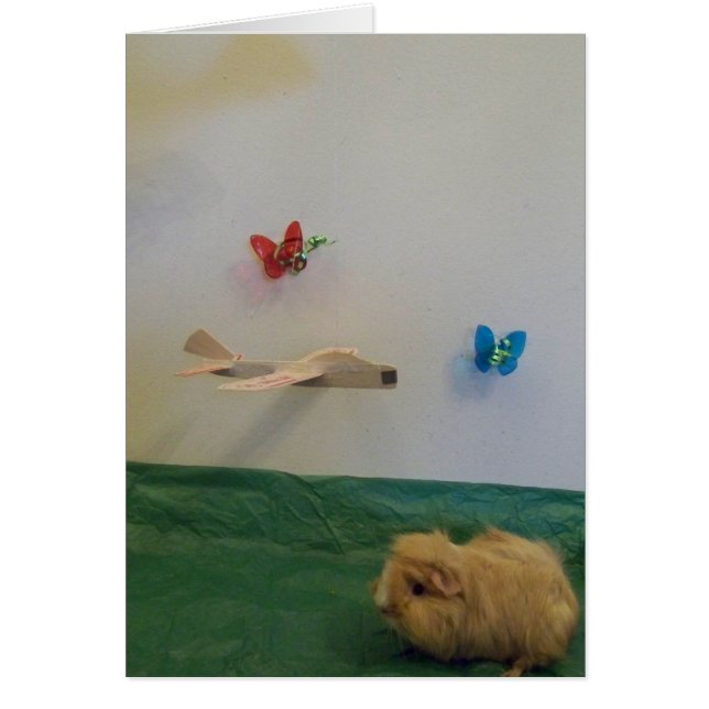 風変わりで私の生命を満たします (正面)