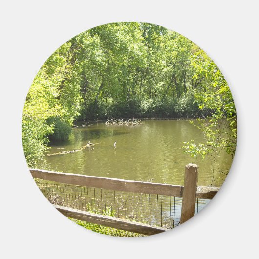 風変わりな橋 マグネット (正面)