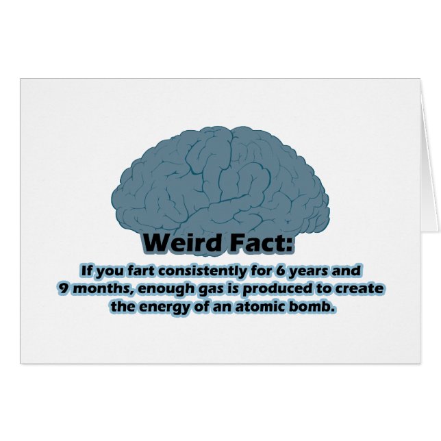 風変わりファクト – アトミック・ファルト (正面横)