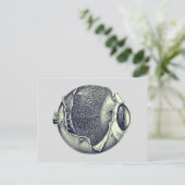 風変わりヴィンテージモダン眼球詳細スケッチ ポストカード (スタンド正面)