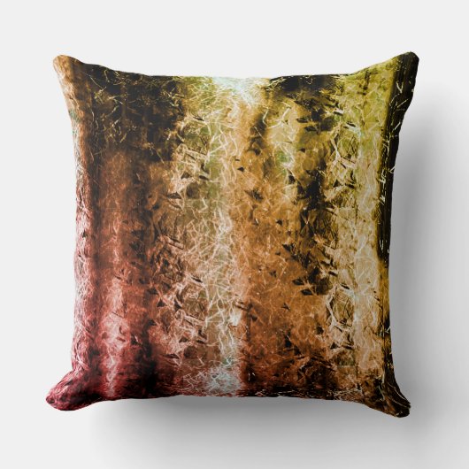 風変わり繊維質及び汚れ クッション (正面)