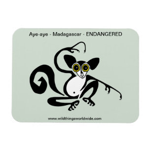風変わり野生生物 – AYE-AYE – 霊長類 – Lemur - マグネット