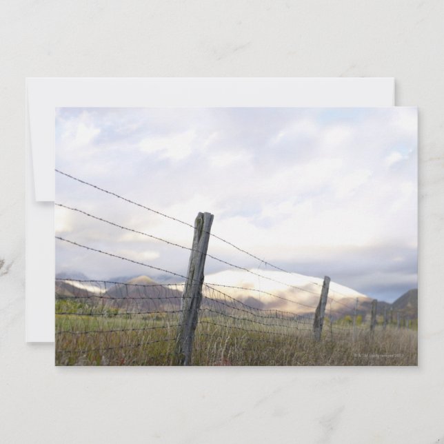 風景で囲まれる (正面)