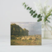 風景の中で羊の群れ ポストカード (スタンド正面)