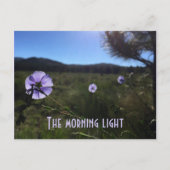 風景の美しいプレーリーの青い亜麻の花が恋しい ポストカード (正面)